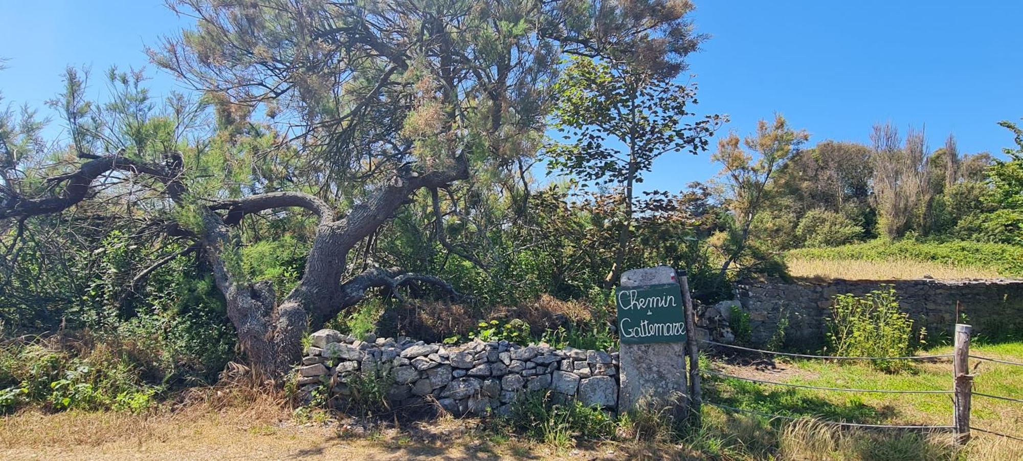 Relais Des Iles Saint Marcouf Saint-Marcouf Exterior foto